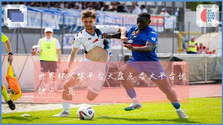 世界杯买球平台大盘点 各大平台优缺点一览