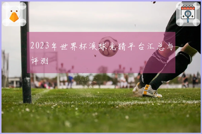 2023年世界杯滚球竞猜平台汇总与评测