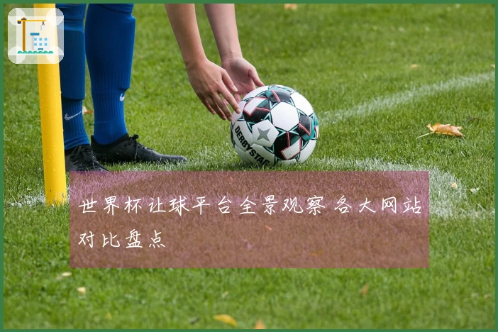 世界杯让球平台全景观察 各大网站对比盘点