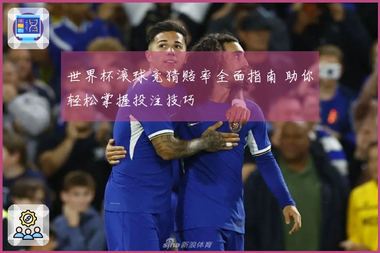 世界杯滚球竞猜赔率全面指南 助你轻松掌握投注技巧