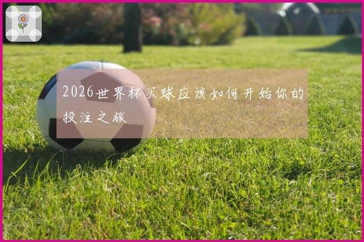 2026世界杯买球应该如何开始你的投注之旅