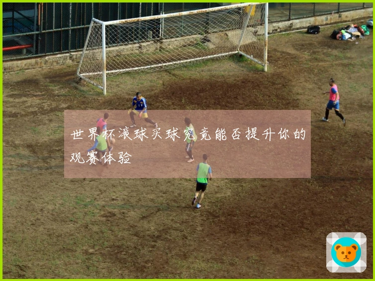 世界杯滚球买球究竟能否提升你的观赛体验