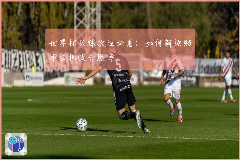 世界杯买球投注必看：如何解读赔率玄机提升胜率