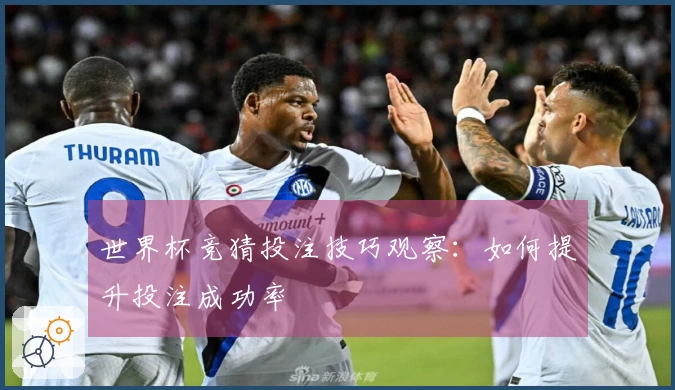世界杯竞猜投注技巧观察：如何提升投注成功率