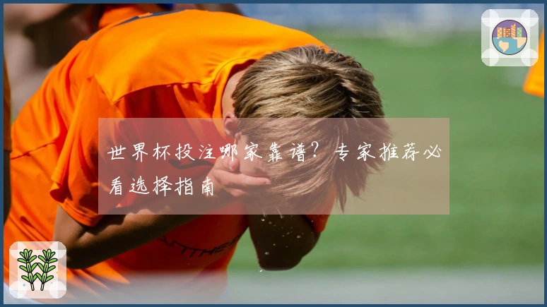 世界杯投注哪家靠谱？专家推荐必看选择指南