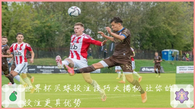 世界杯买球投注技巧大揭秘 让你的投注更具优势