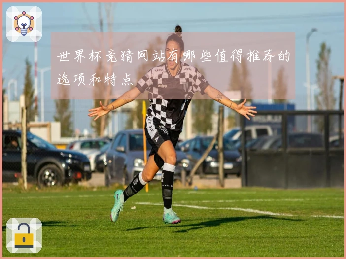 世界杯竞猜网站有哪些值得推荐的选项和特点