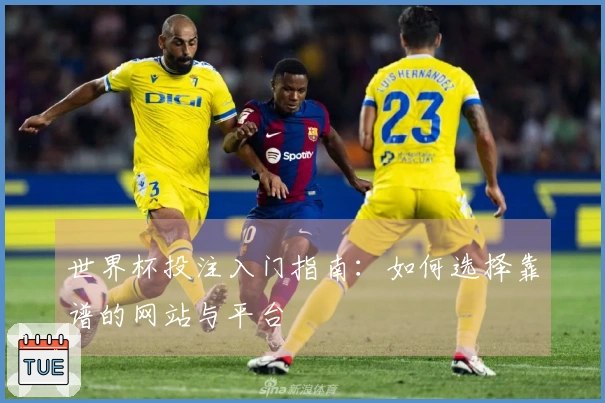 世界杯投注入门指南：如何选择靠谱的网站与平台