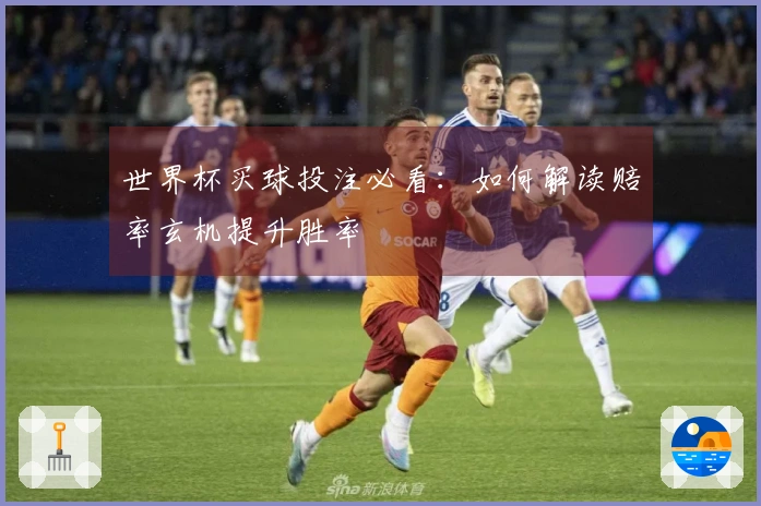 世界杯买球投注必看：如何解读赔率玄机提升胜率